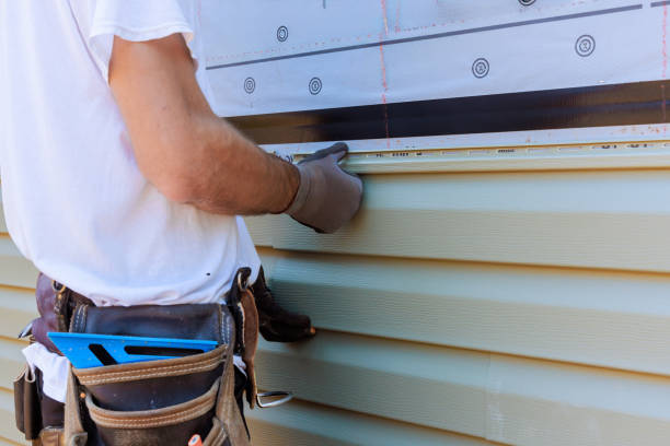 Affordable Siding Replacement solutions in Dillwyn, VA